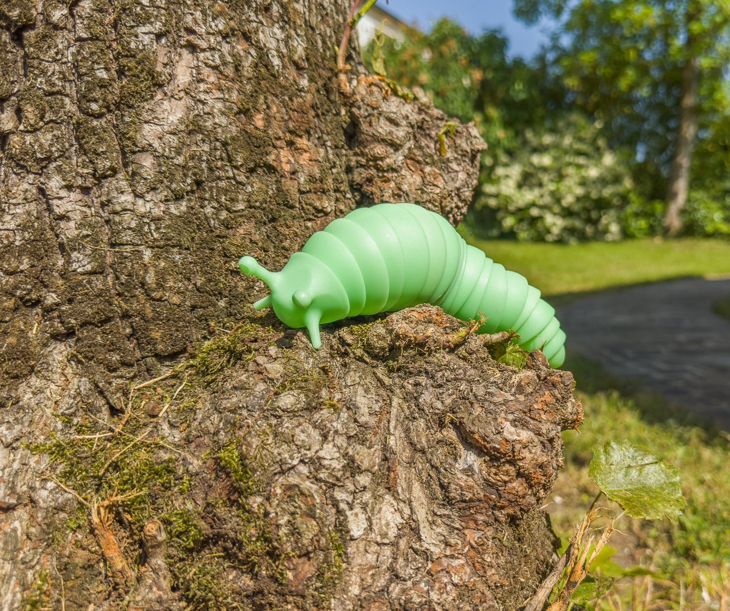 Malice la limace - Grand format