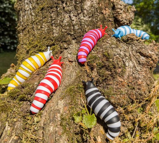 Malice la limace - Petit format